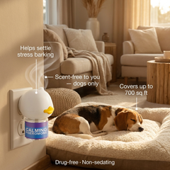 Goat touché Dog Calming Pheromone Diffuser